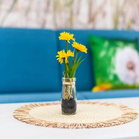 Moderne Mit Terrasse In Ruhiger Lage * Bensersiel