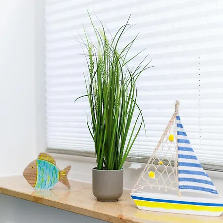 Apartment Moderne Mit Terrasse In Ruhiger Lage